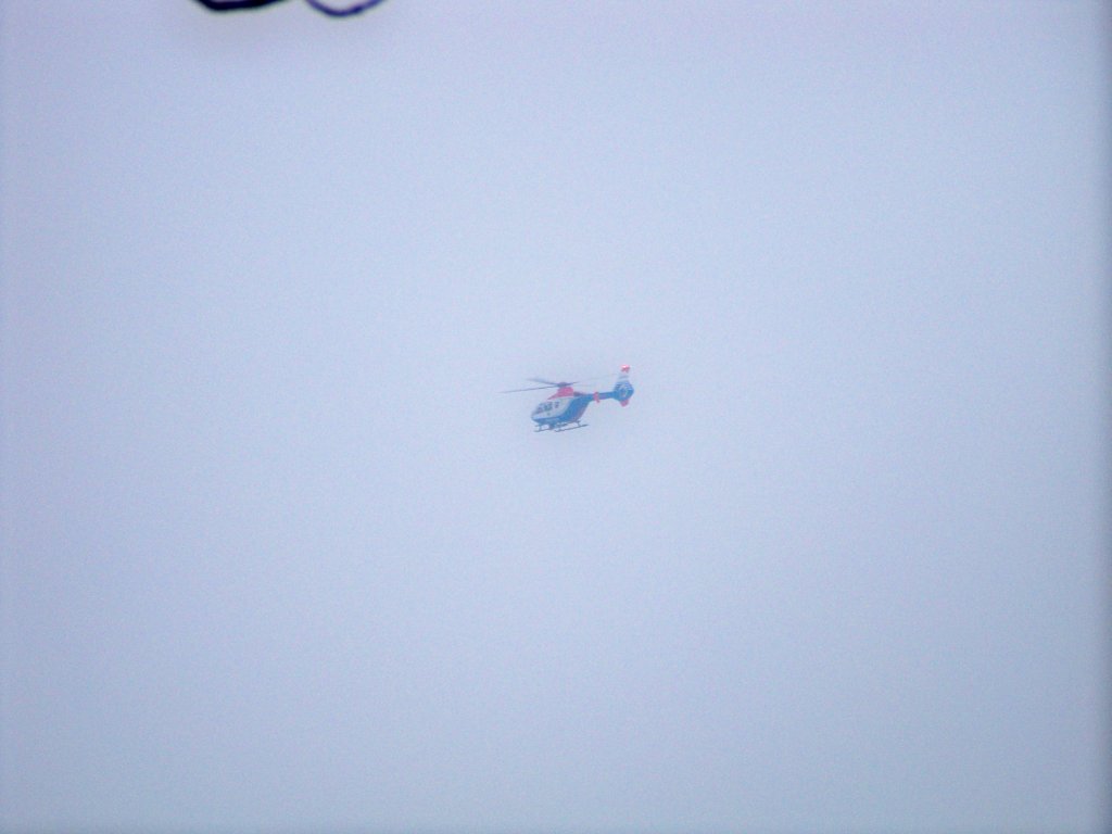 Hubschrauberstaffel Hamburg, Eurocopter EC 120, Kennung nicht Sichtbar ber der Alster in Hamburg. AUfgenommen am 01.02.10.